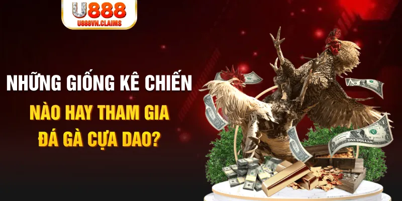 79kin BG Trực Tuyến