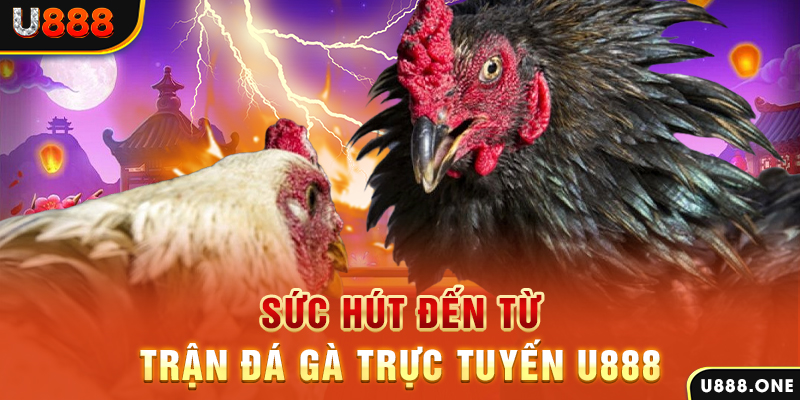 79kin đăng nhập poker 2024