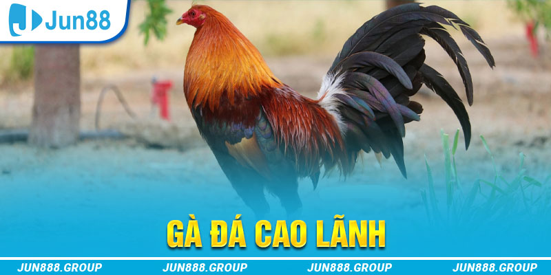 79kin tai game vua bai ve may tinh
