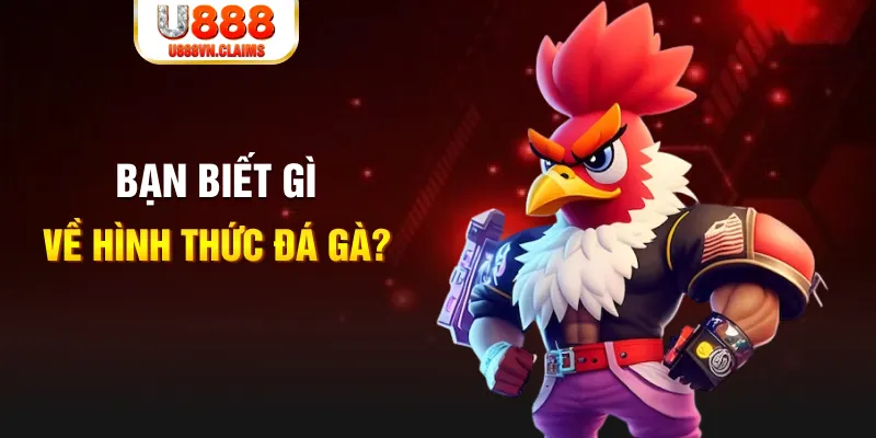 79kin đăng nhập liêng tặng tiền