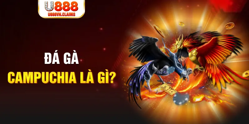 79kin what is the best online casino for real money