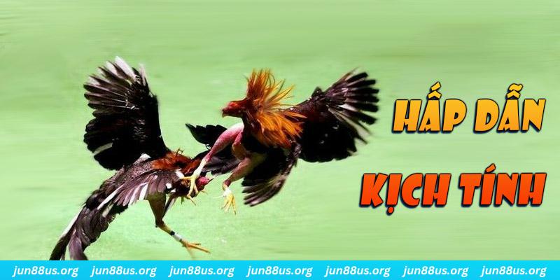 79kin xổ số miền nam thứ sáu