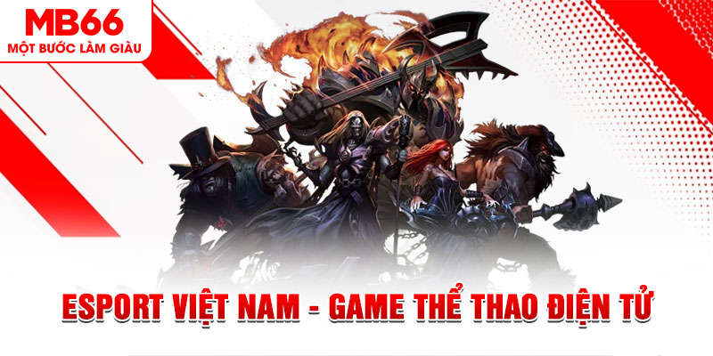 79kin xổ số sóc trăng