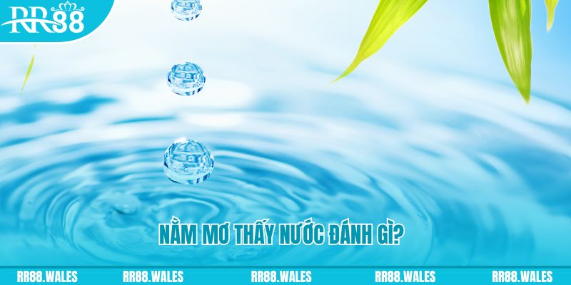 79kin xổ số trực tiếp miền bắc