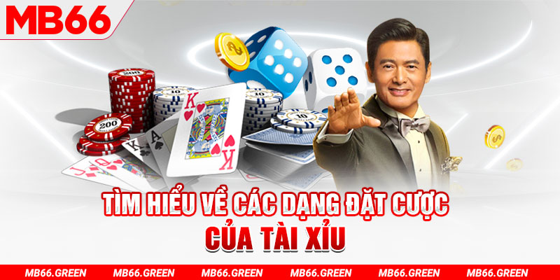 79kin what is a casino loyalty program