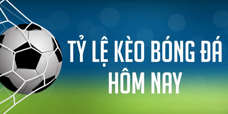 79kin đăng nhập phỏm