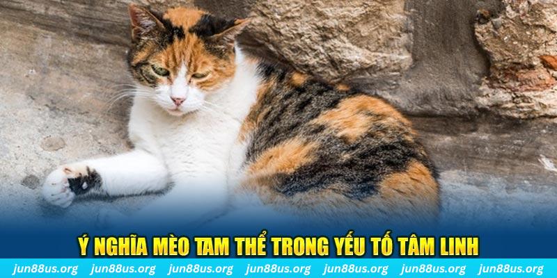 79kin máy slot game là loại trò chơi gì？
