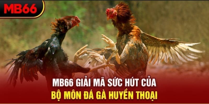 79kin xổ số đài bắc