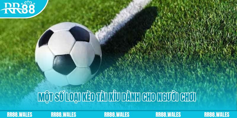 79kin slot nghĩa là gì