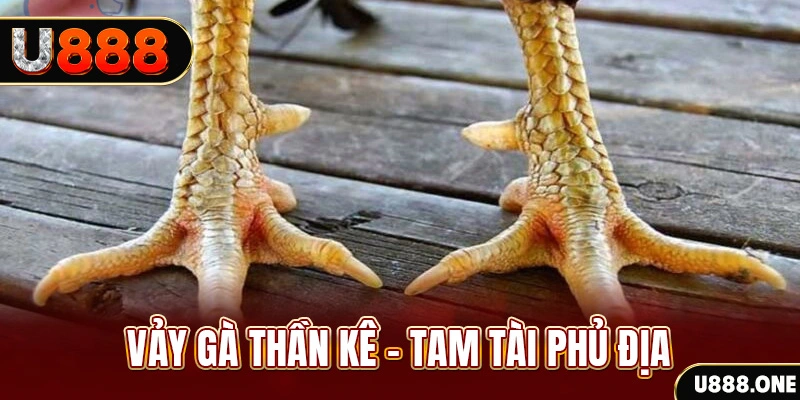 79kin so xo mien trung