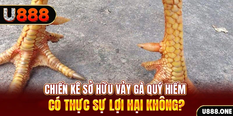 79kin xổ số miền trung