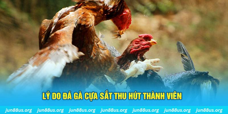 79kin nổ hũ ăn bao nhiêu