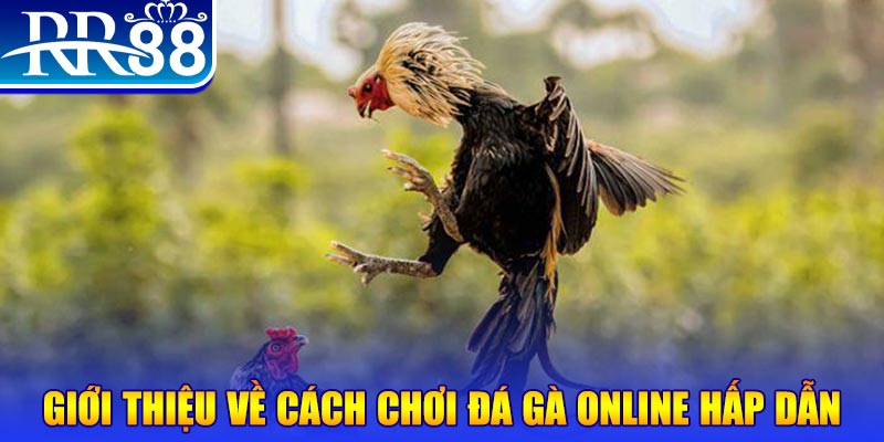 79kin bắn cá h5 là gì