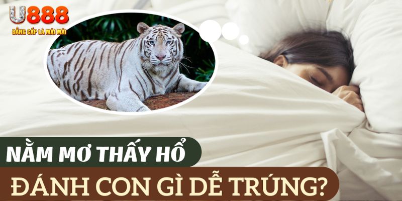 79kin nohu .mx nổ hủ là gì