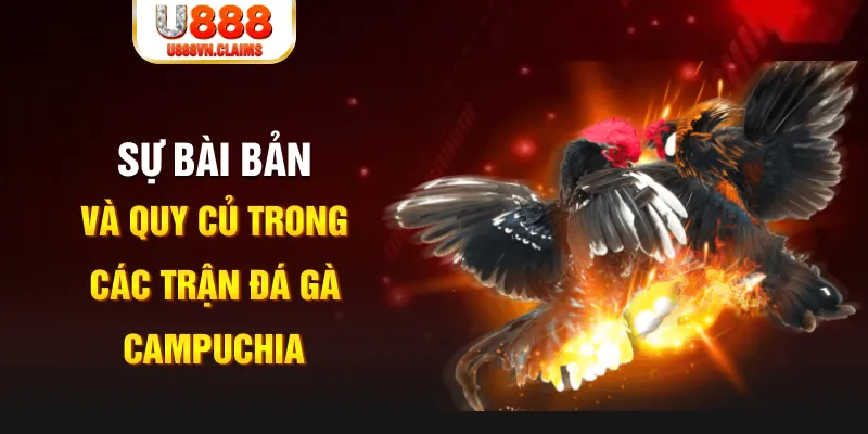 79kin game xếp bài trên máy tính