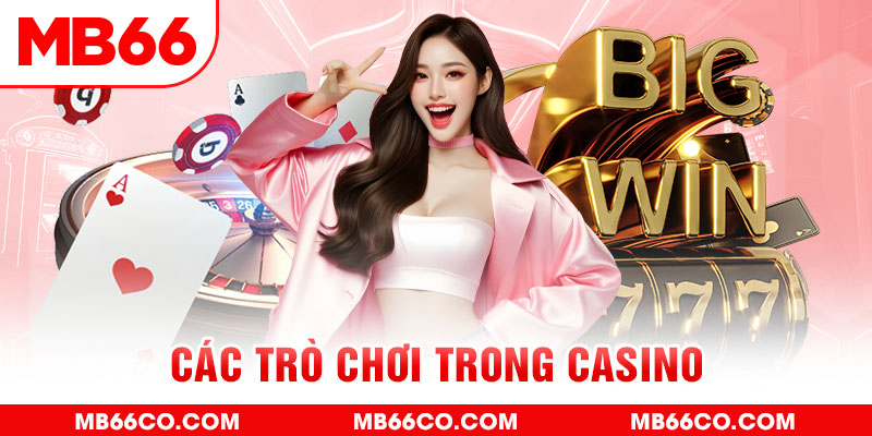79kin chổi lông gà