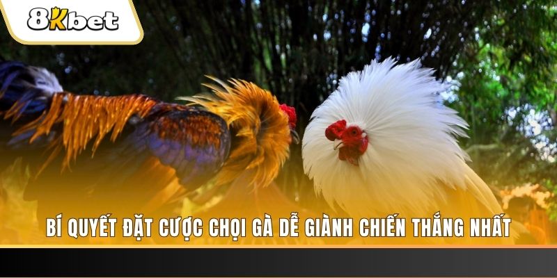 79kin nổ hũ chơi như thế nào