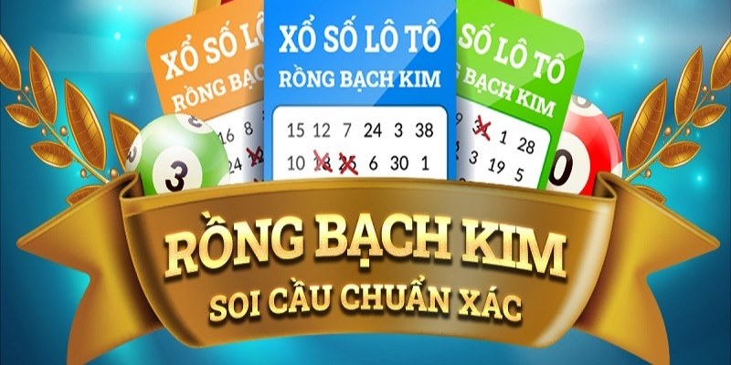79kin NE Điện Tử