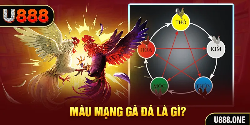 79kin V8 Game Bài 3d