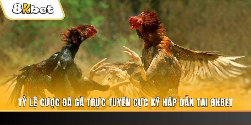 79kin xổ số miền bắc chủ nhật