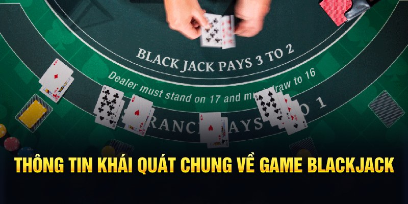 79kin dự đoán xổ số miền nam