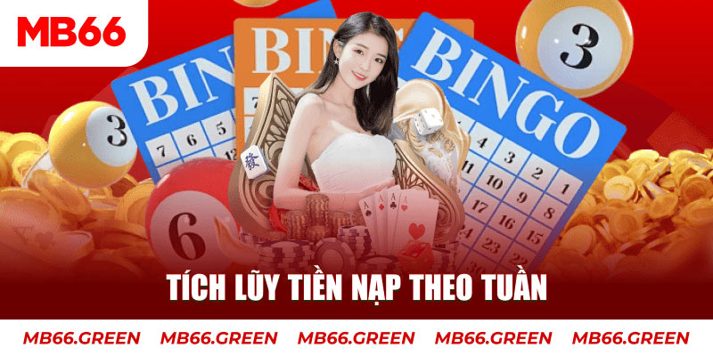 79kin Trăm người Bo tám Bo chín