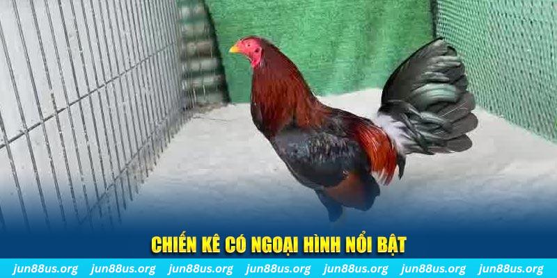79kin qq88 bắn cá