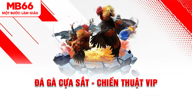 79kin slot out là gì