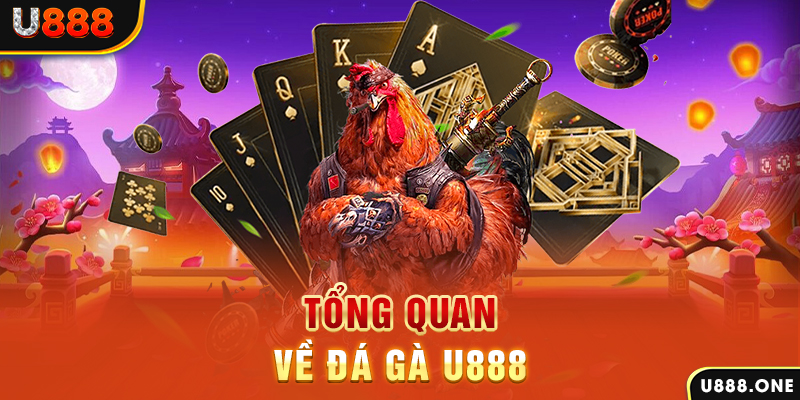 79kin xổ số vietlott