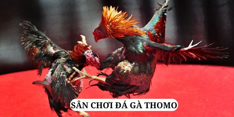 79kin quay nổ hũ là gì