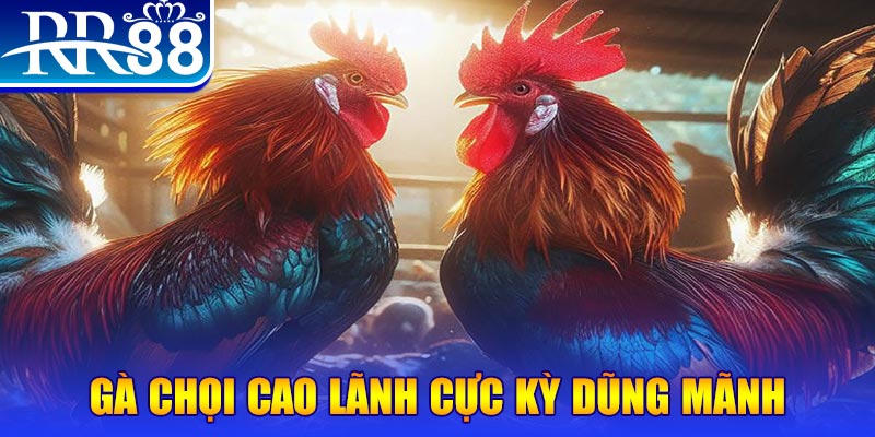 79kin đăng nhập poker live